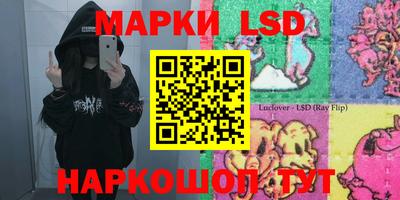 шишки Апшеронск