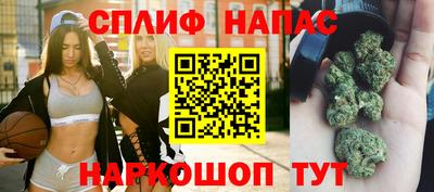 шишки Апшеронск
