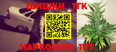 прущие грибы Малгобек