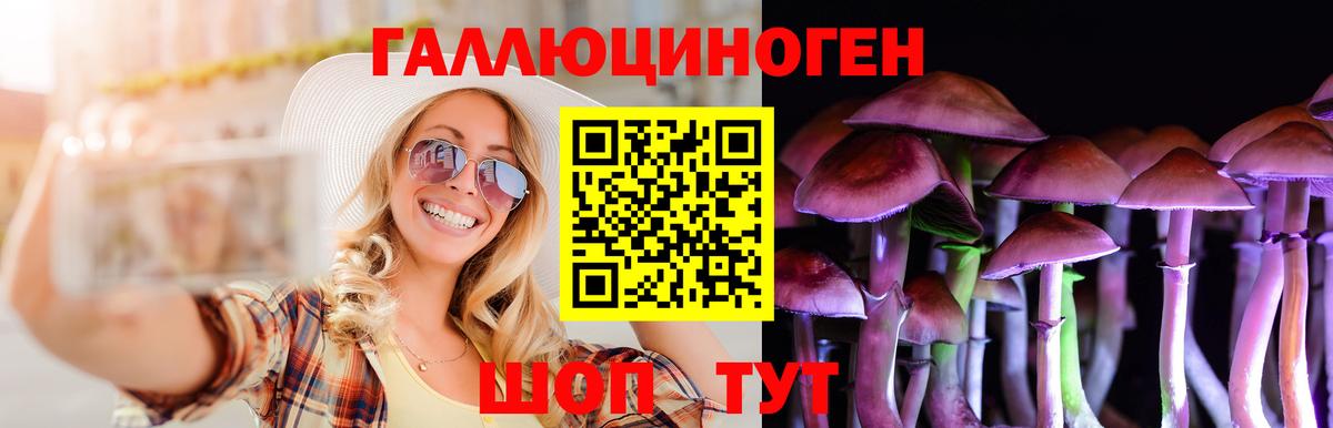 Воркута  Псилоцибиновые грибы MAGIC MUSHROOMS  Вход с VPN 